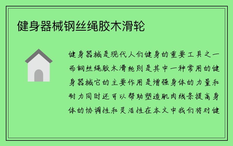 健身器械钢丝绳胶木滑轮