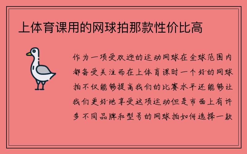 上体育课用的网球拍那款性价比高