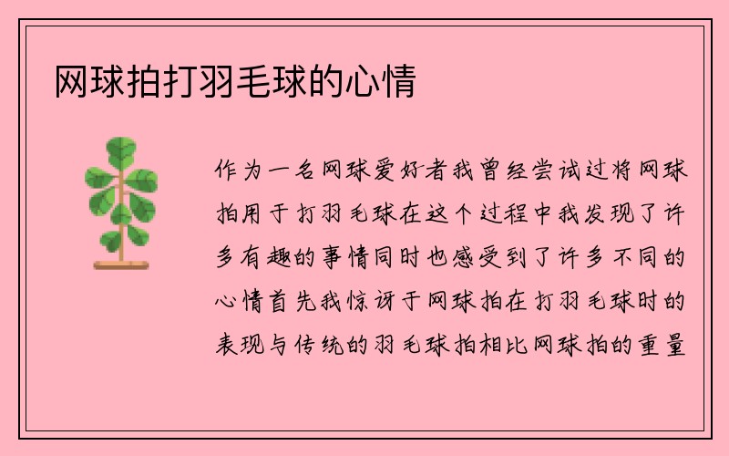 网球拍打羽毛球的心情