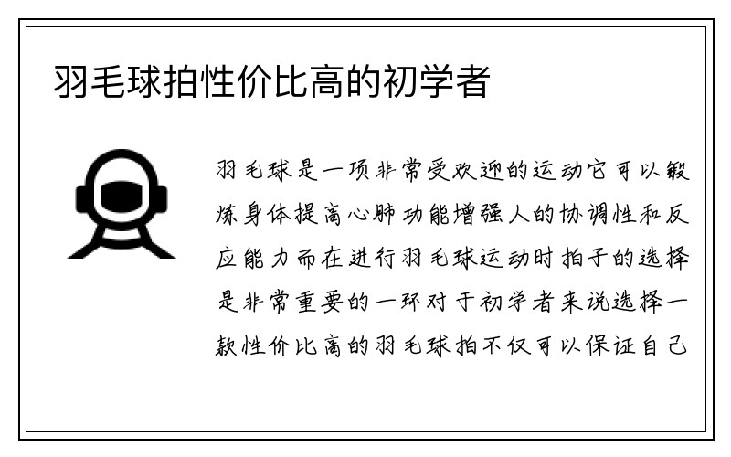 羽毛球拍性价比高的初学者